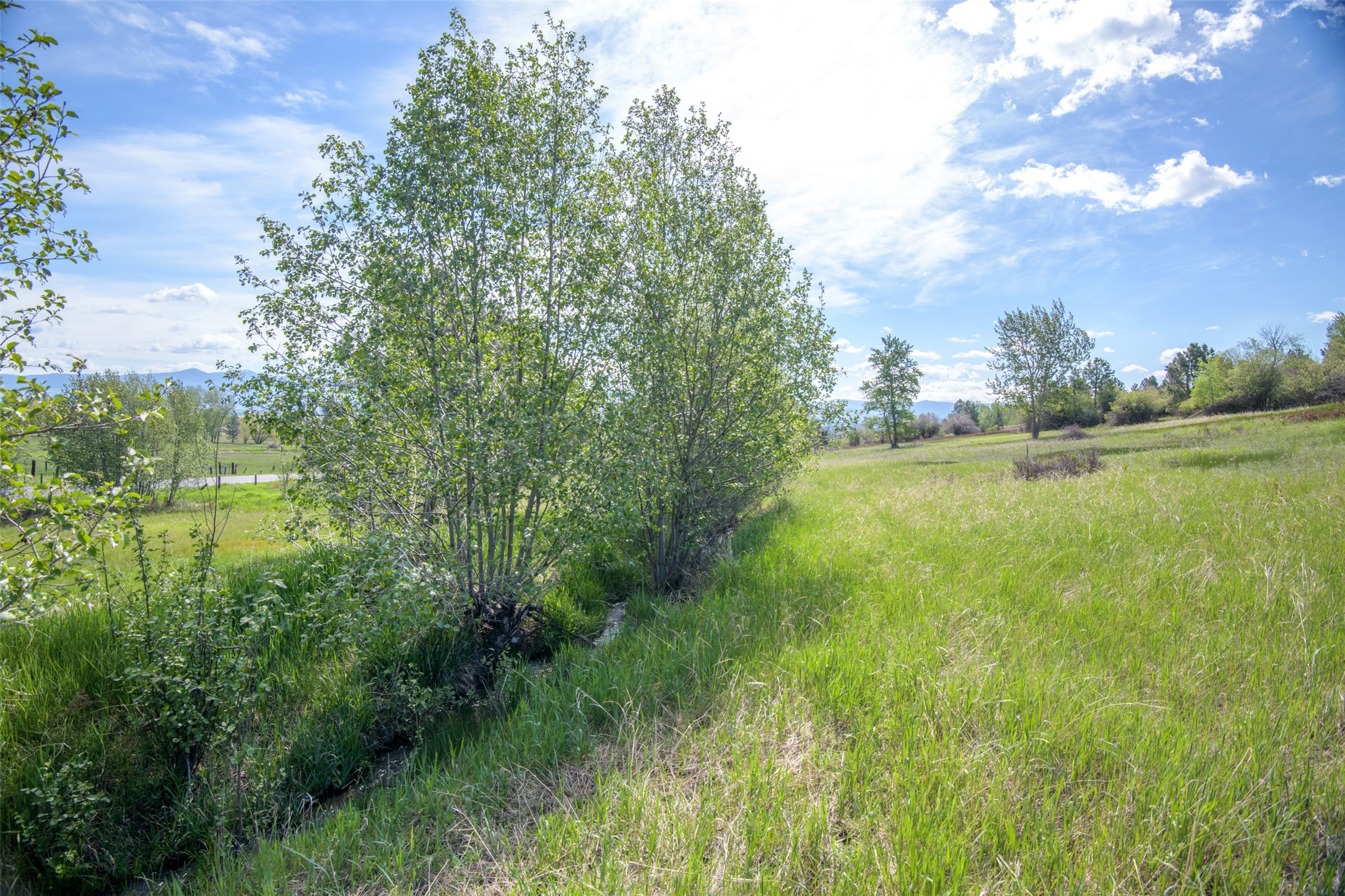 127 Blodgett Camp Road Property Photo 22