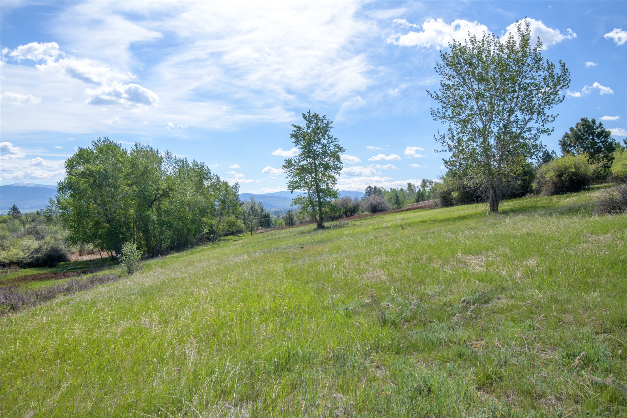 127 Blodgett Camp Road Property Photo 23