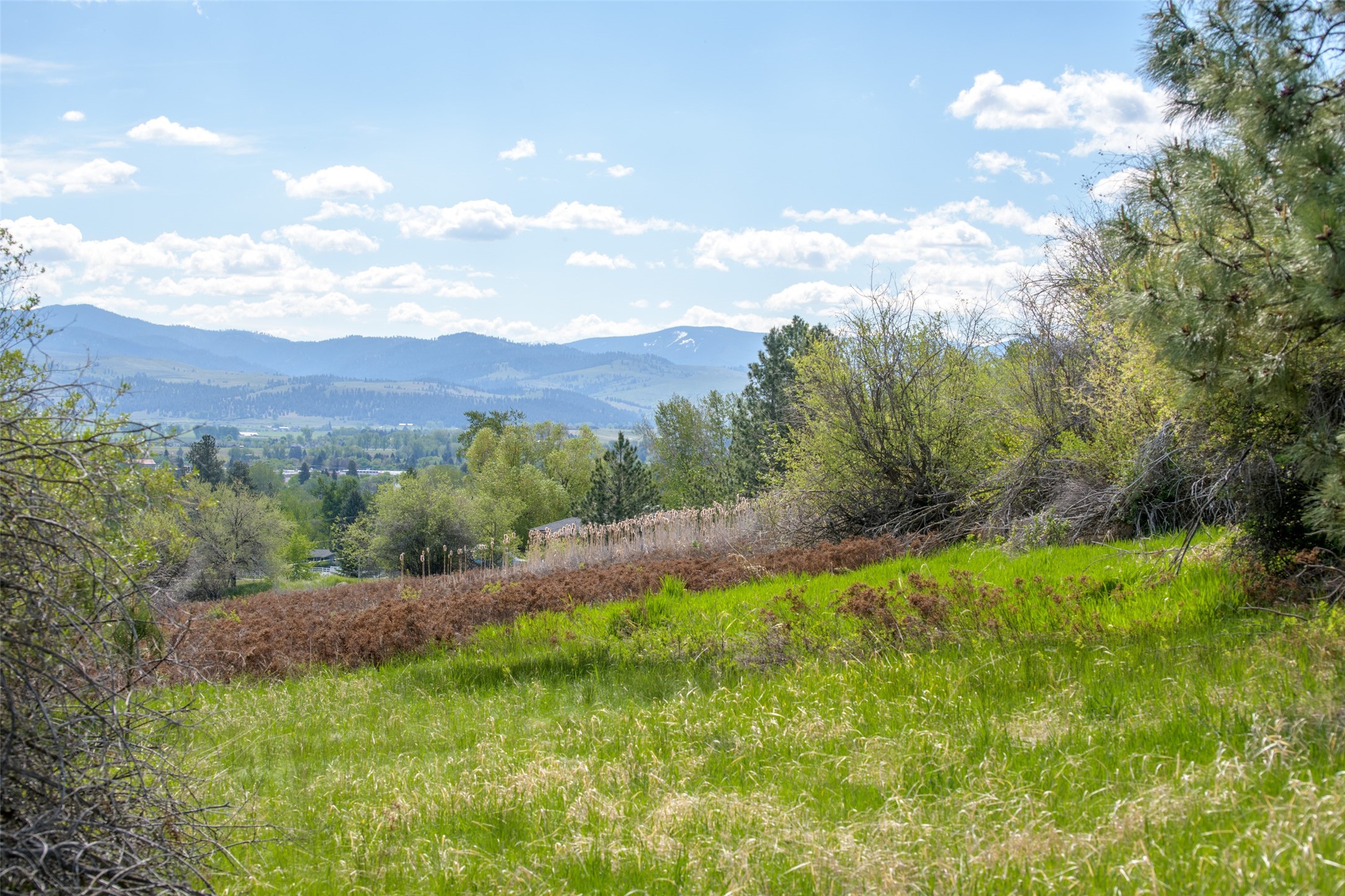 127 Blodgett Camp Road Property Photo 29