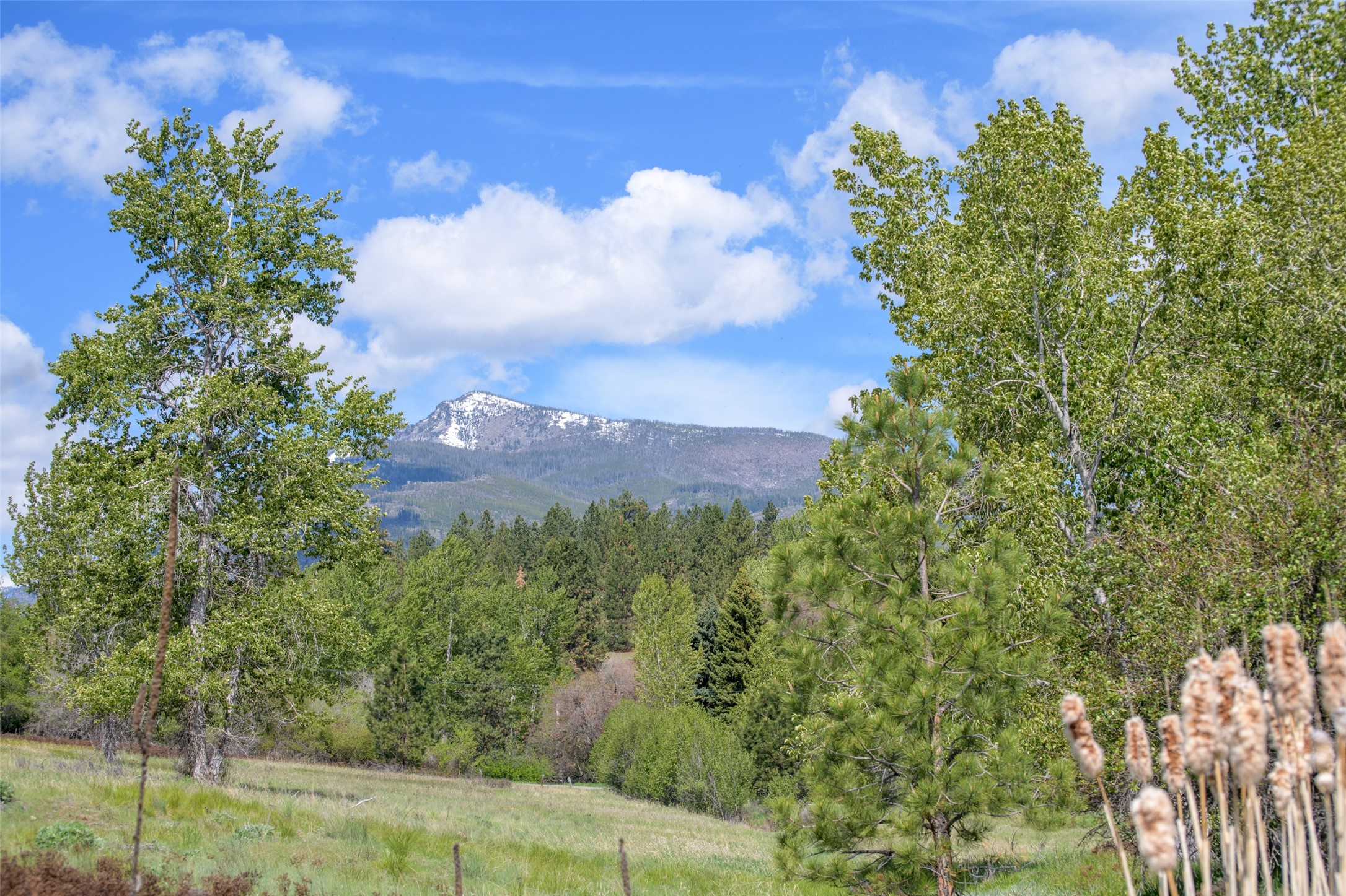 127 Blodgett Camp Road Property Photo 32