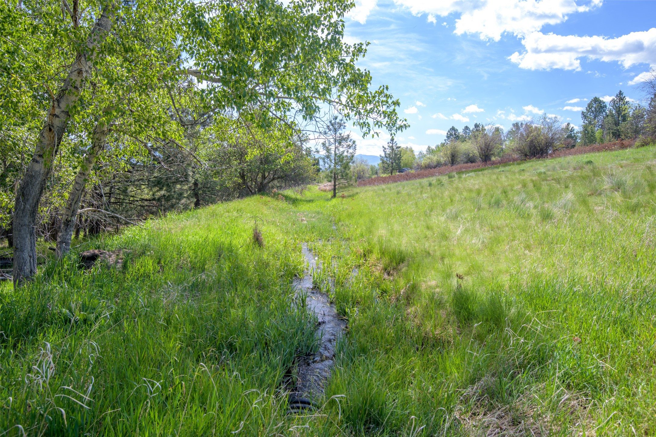 127 Blodgett Camp Road Property Photo 33