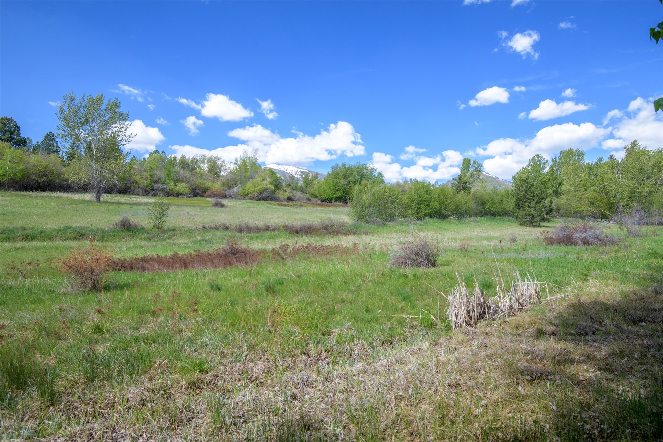 127 Blodgett Camp Road Property Photo 34