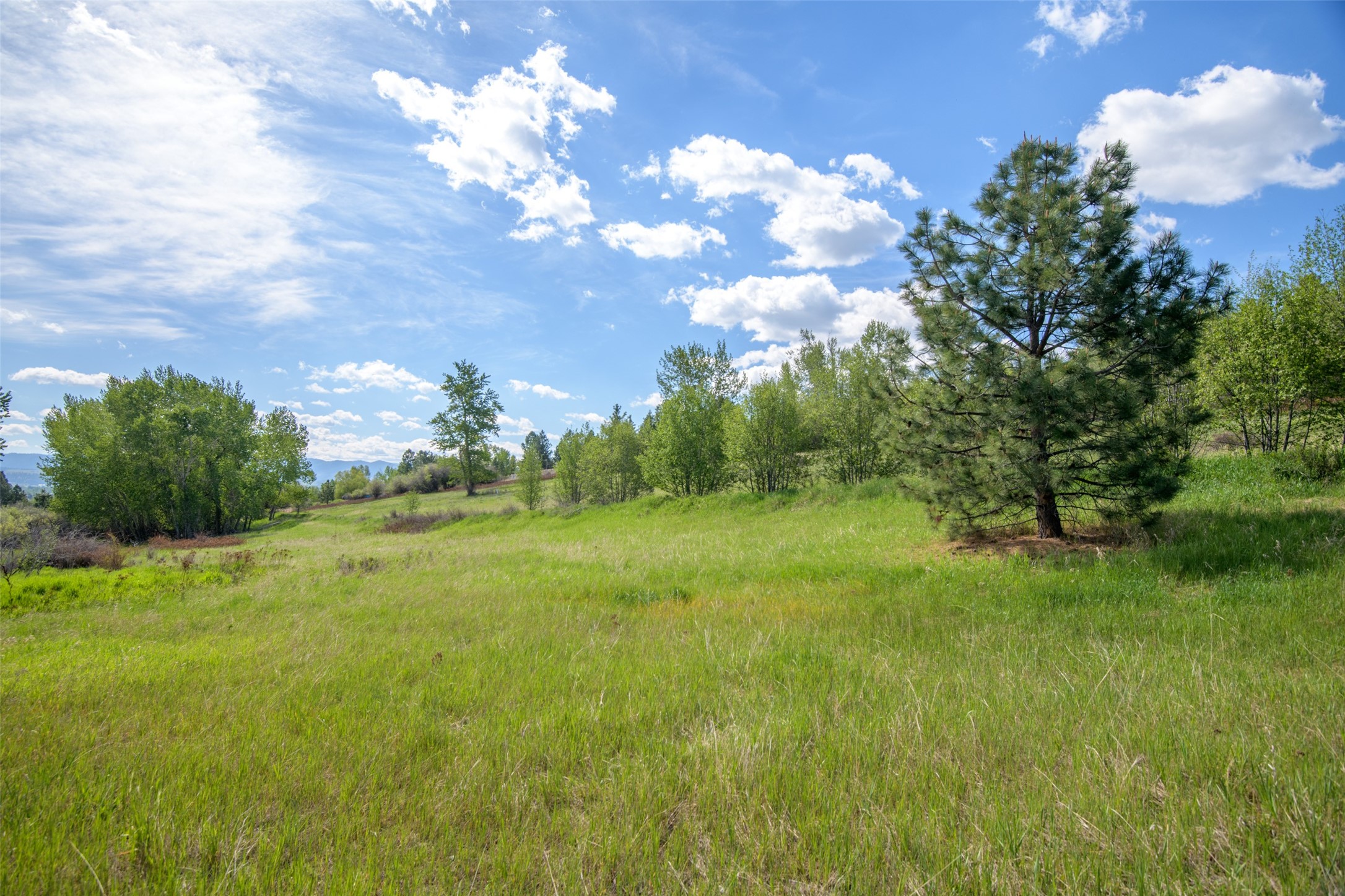 127 Blodgett Camp Road Property Photo 36