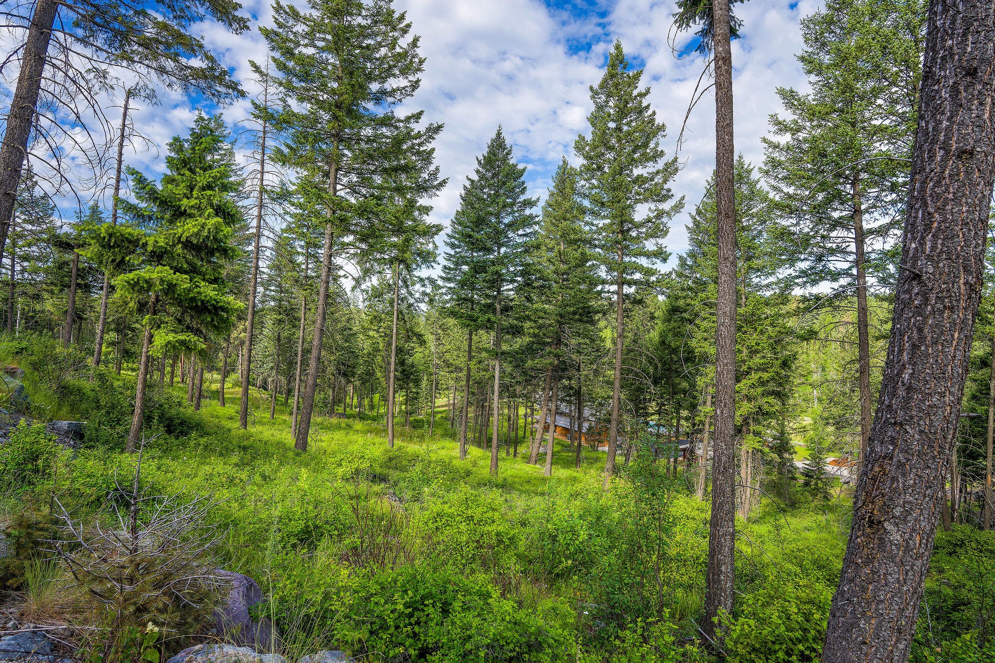 16 Bridle Court Property Photo 2
