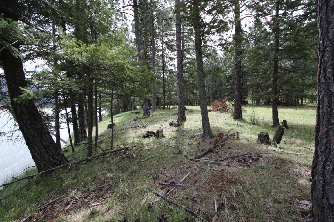 Nhn Tract 1-d River Road W Property Photo 19