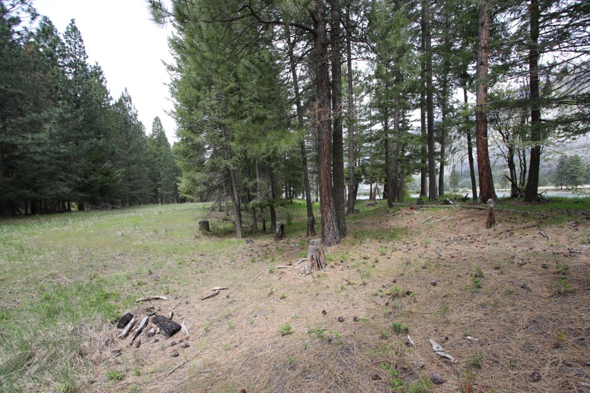 Nhn Tract 1-d River Road W Property Photo 20