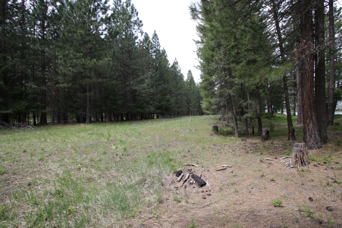 Nhn Tract 1-d River Road W Property Photo 21
