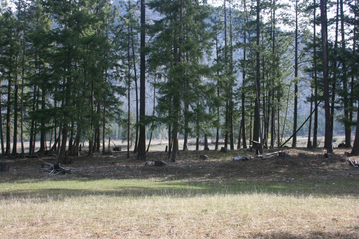 Nhn Tract 1-d River Road W Property Photo 23