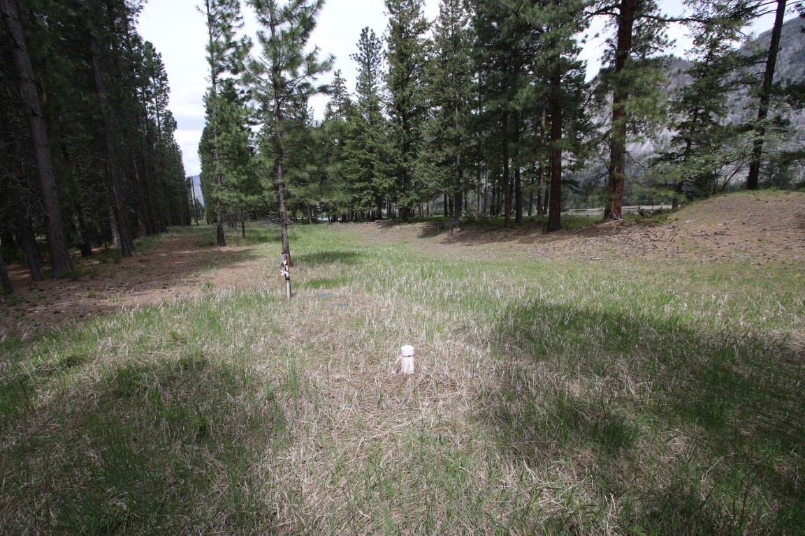 Nhn Tract 1-d River Road W Property Photo 28