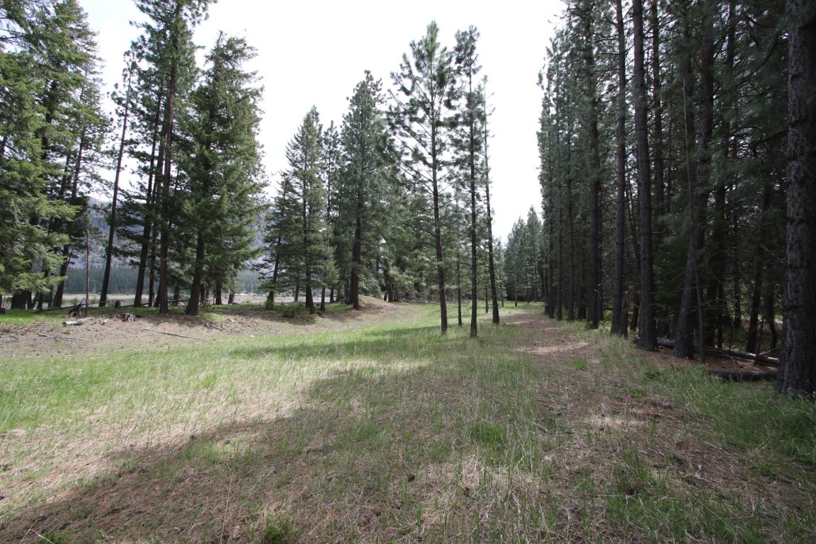 Nhn Tract 1-d River Road W Property Photo 31