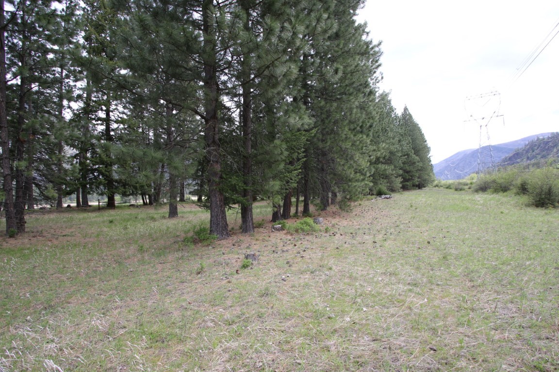 Nhn Tract 1-d River Road W Property Photo 32