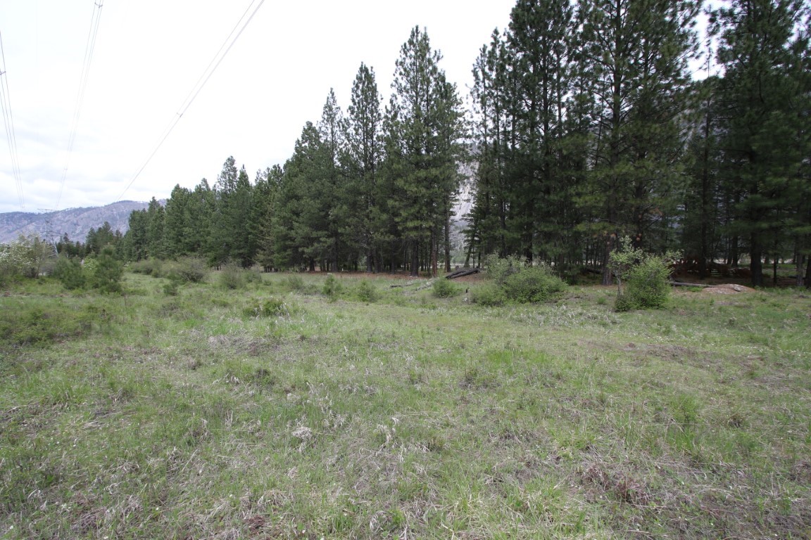 Nhn Tract 1-d River Road W Property Photo 37