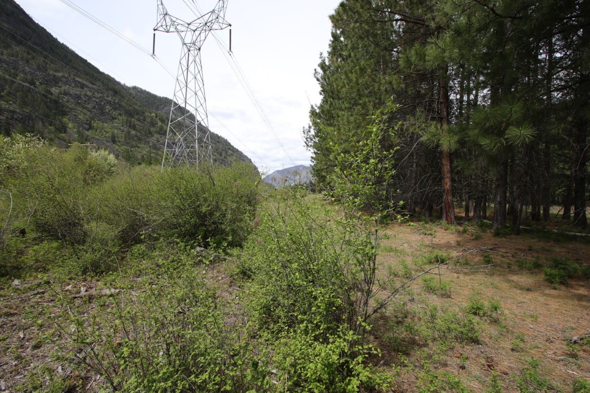 Nhn Tract 1-d River Road W Property Photo 38