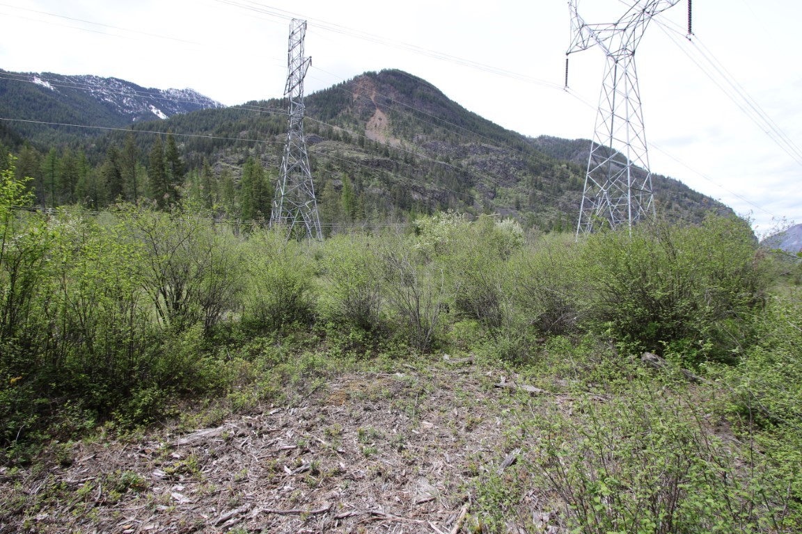 Nhn Tract 1-d River Road W Property Photo 39