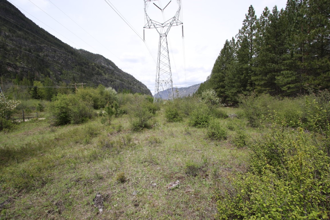 Nhn Tract 1-d River Road W Property Photo 41