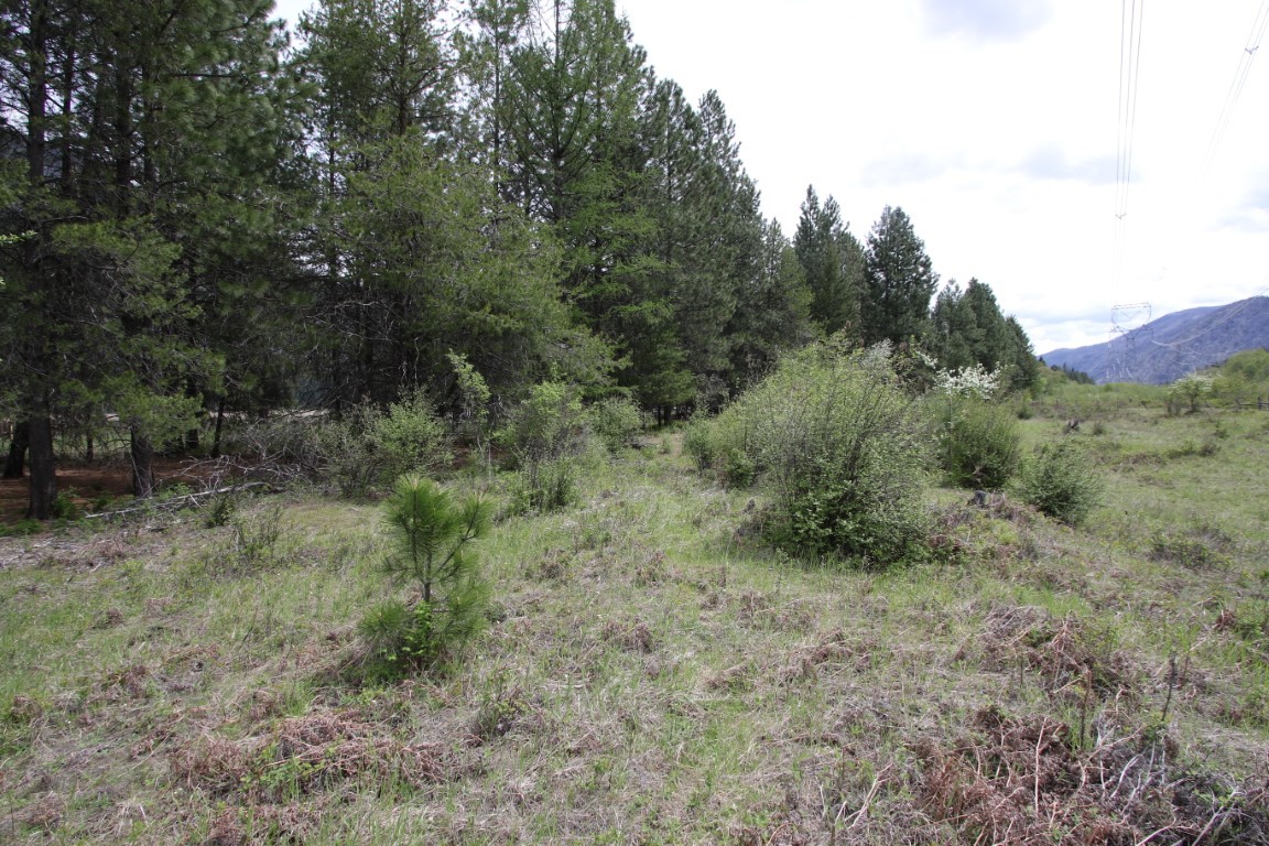 Nhn Tract 1-d River Road W Property Photo 43