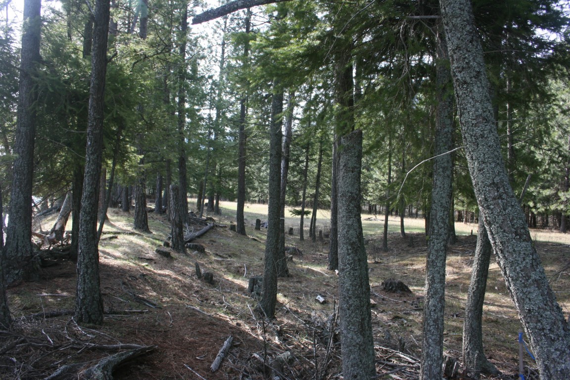 Nhn Tract 1-e River Road W Property Photo 19