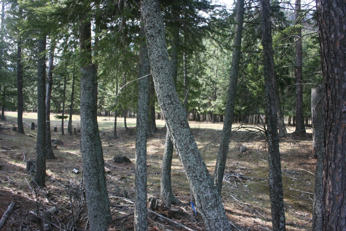 Nhn Tract 1-e River Road W Property Photo 20