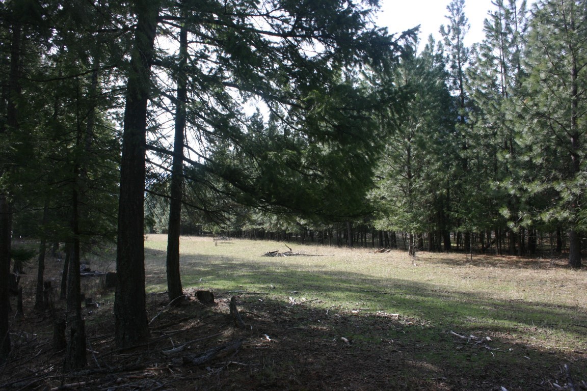Nhn Tract 1-e River Road W Property Photo 21