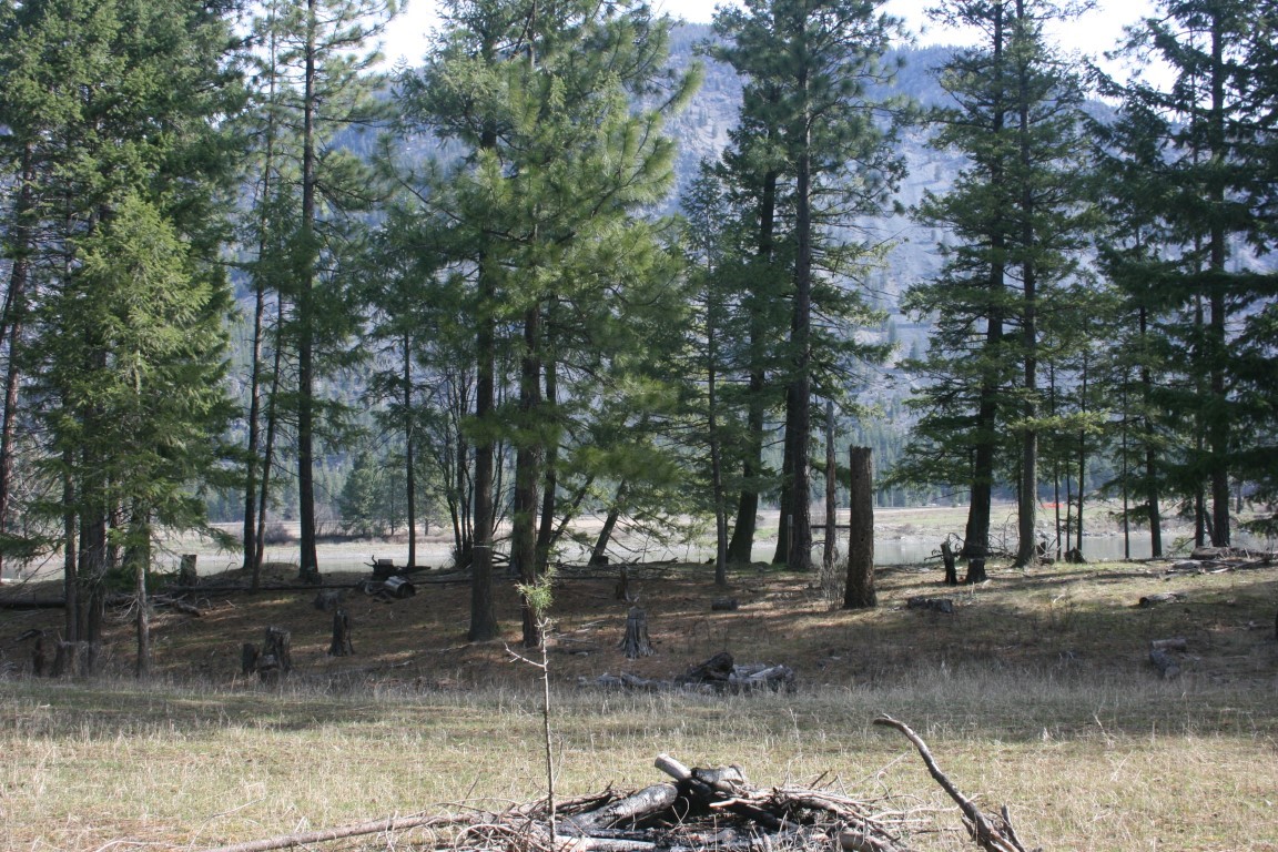 Nhn Tract 1-e River Road W Property Photo 22
