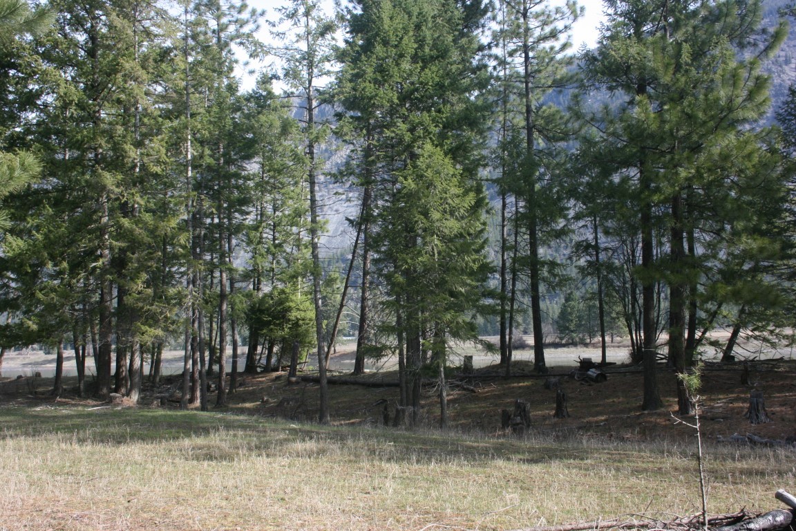Nhn Tract 1-e River Road W Property Photo 23