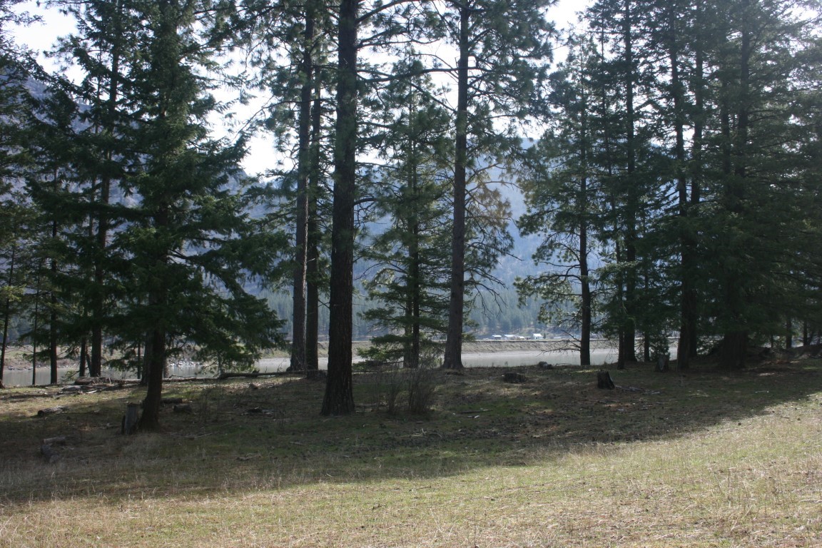 Nhn Tract 1-e River Road W Property Photo 24