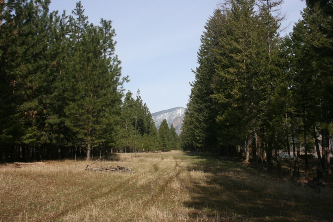 Nhn Tract 1-e River Road W Property Photo 25