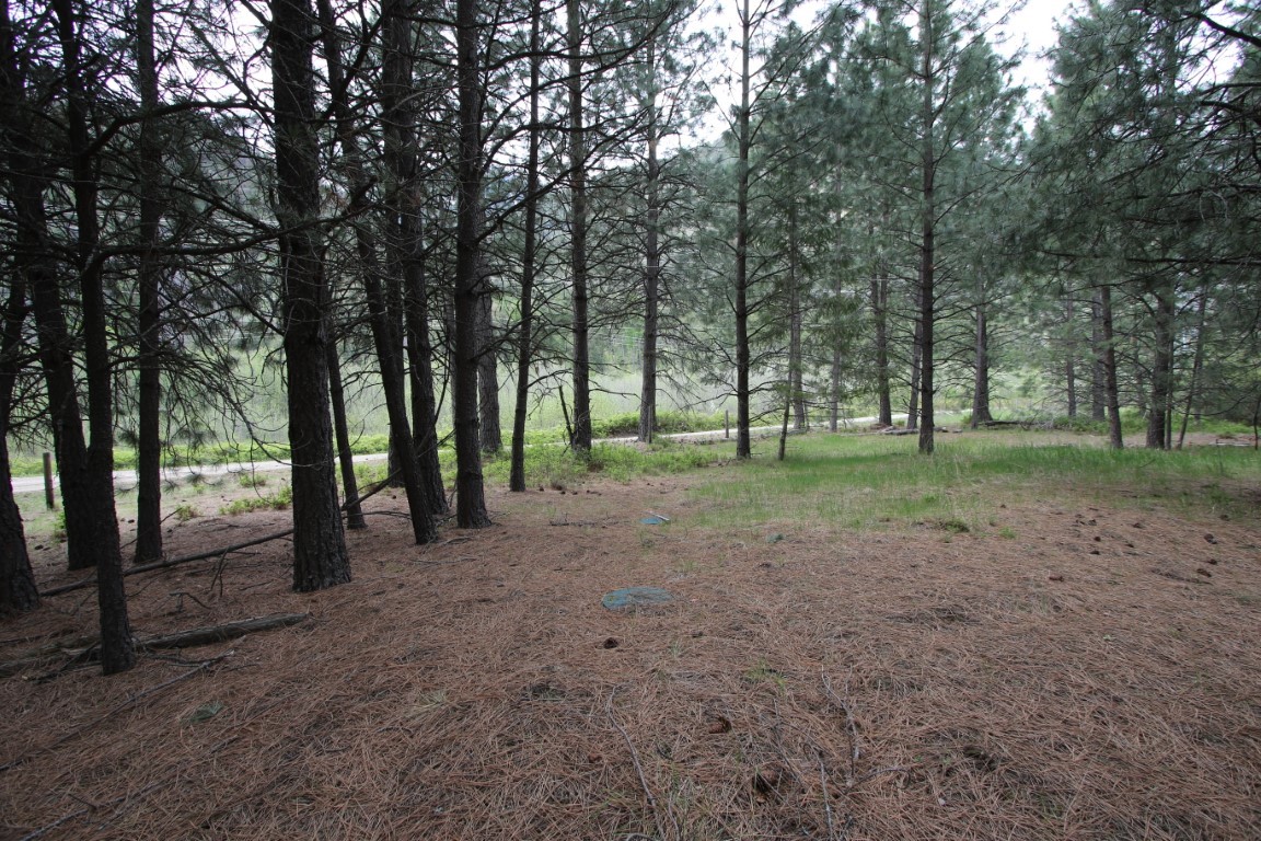 Nhn Tract 1-e River Road W Property Photo 29