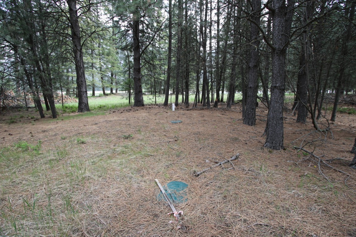 Nhn Tract 1-e River Road W Property Photo 30