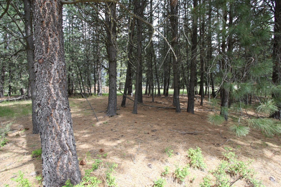 Nhn Tract 1-e River Road W Property Photo 31