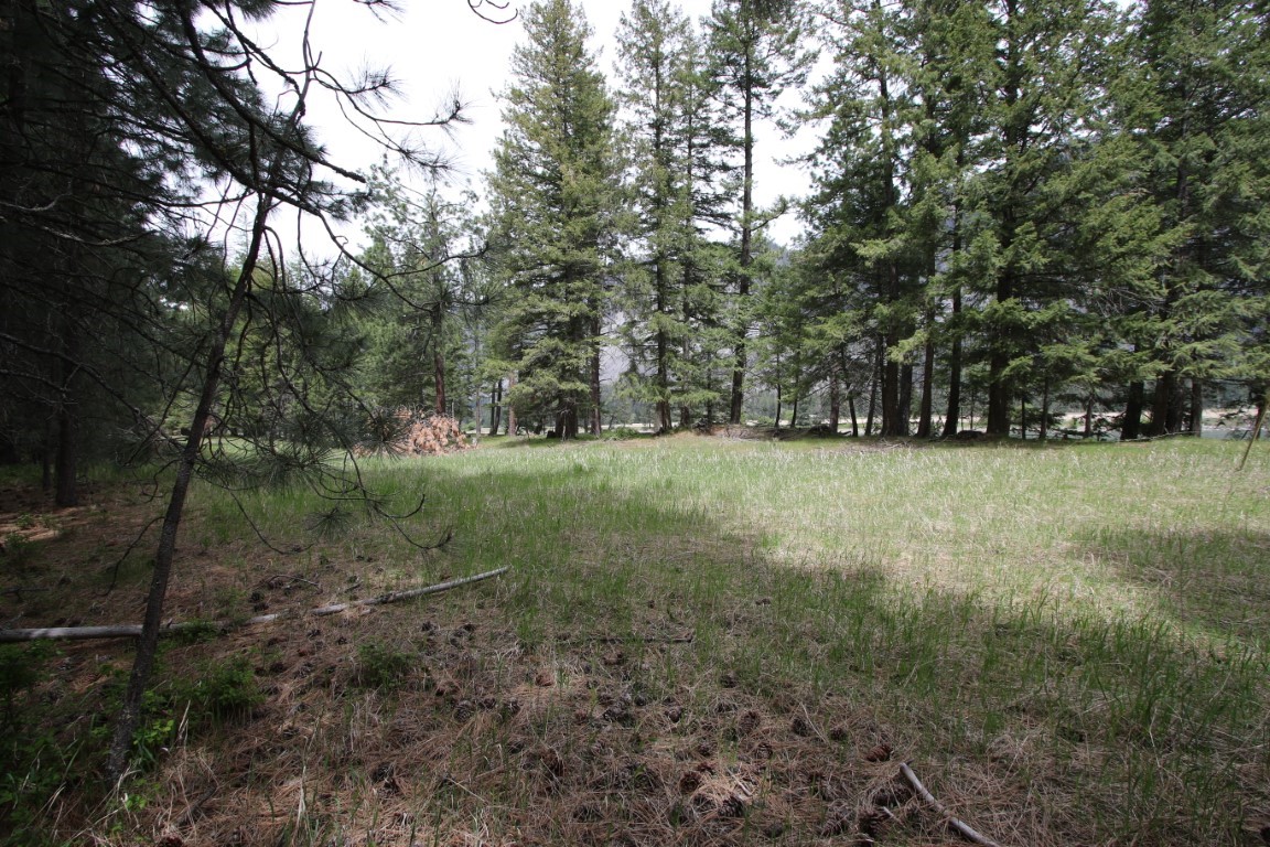 Nhn Tract 1-e River Road W Property Photo 35