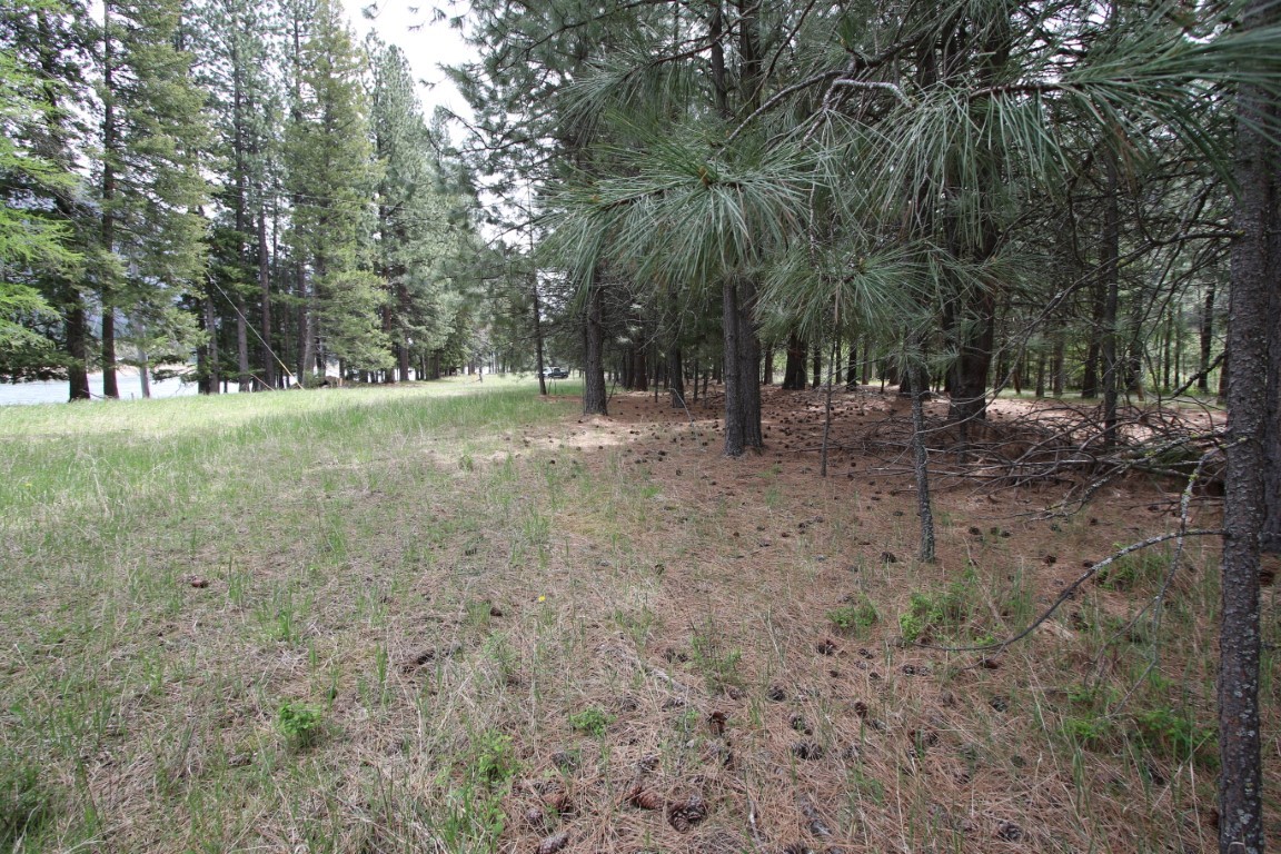 Nhn Tract 1-e River Road W Property Photo 36