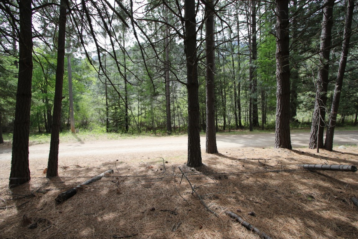 Nhn Tract 1-e River Road W Property Photo 37