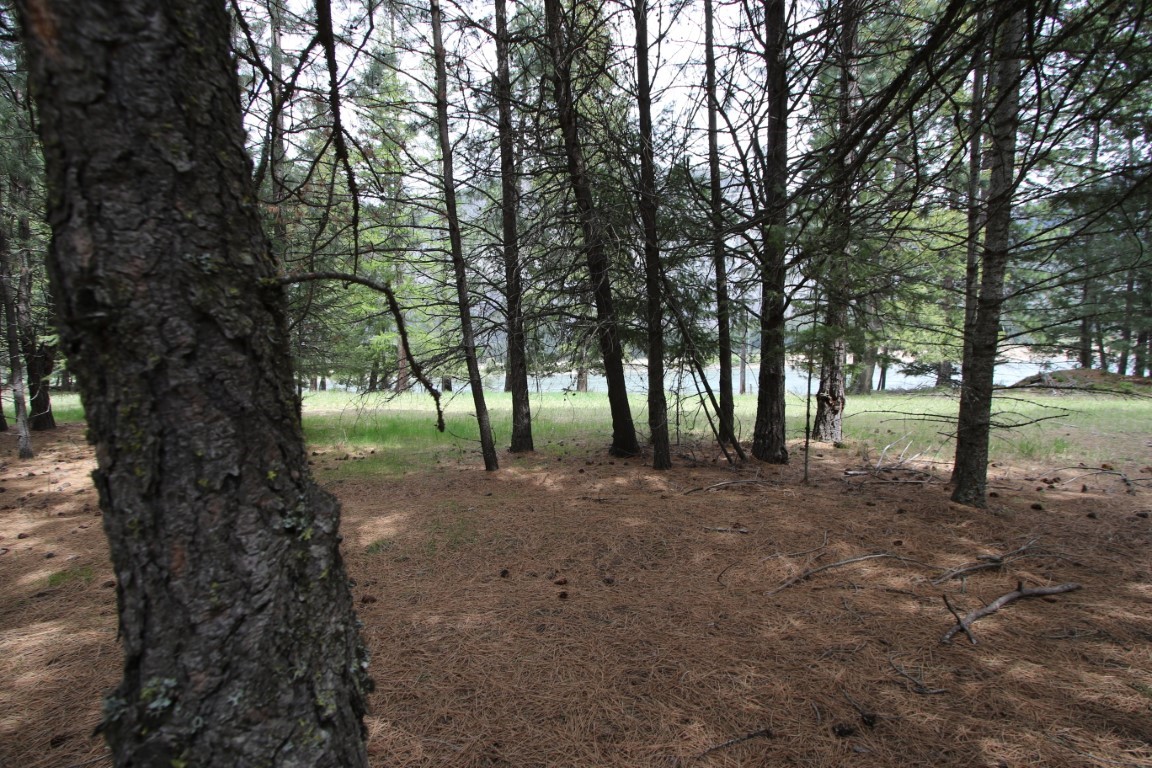 Nhn Tract 1-e River Road W Property Photo 38