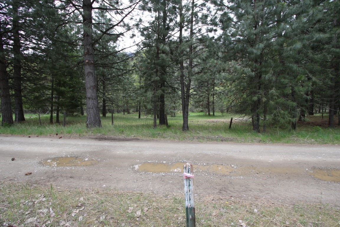 Nhn Tract 1-e River Road W Property Photo 43