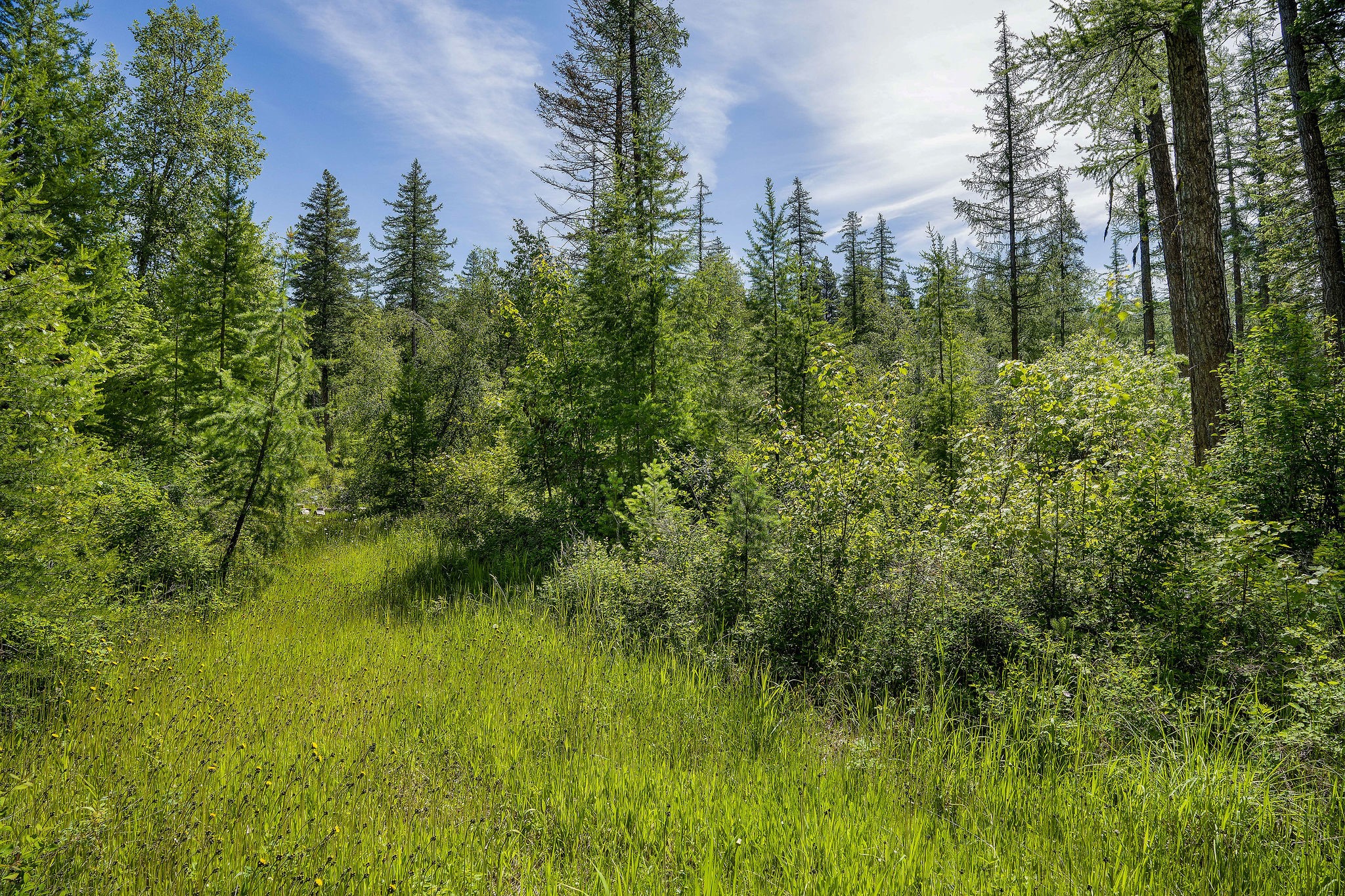 477 Chief Cliff Trail Property Photo 3