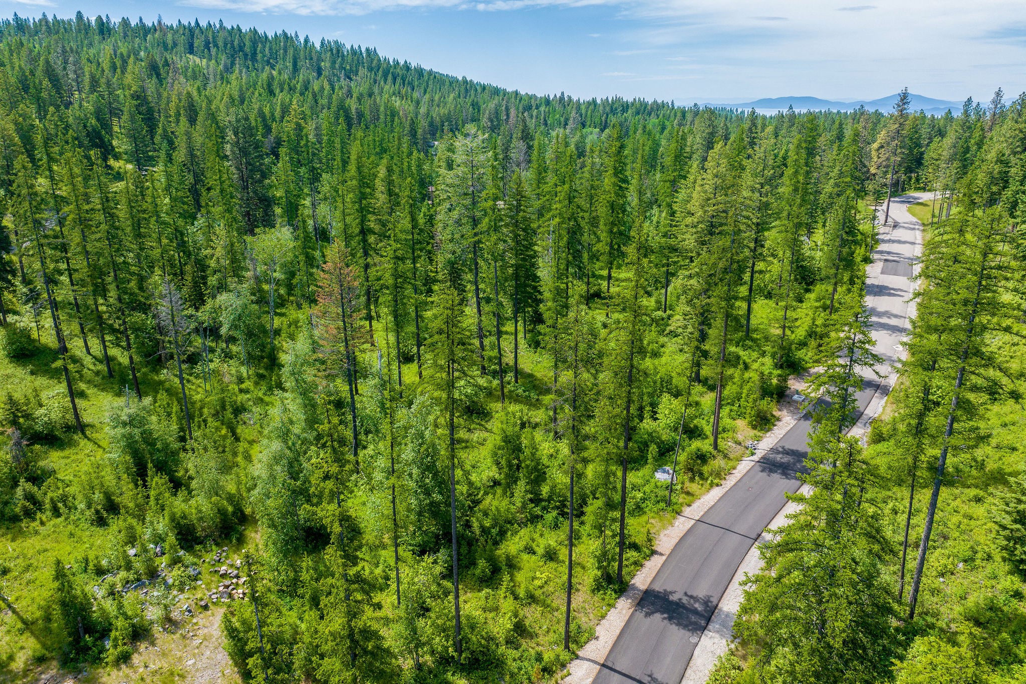 477 Chief Cliff Trail Property Photo 8