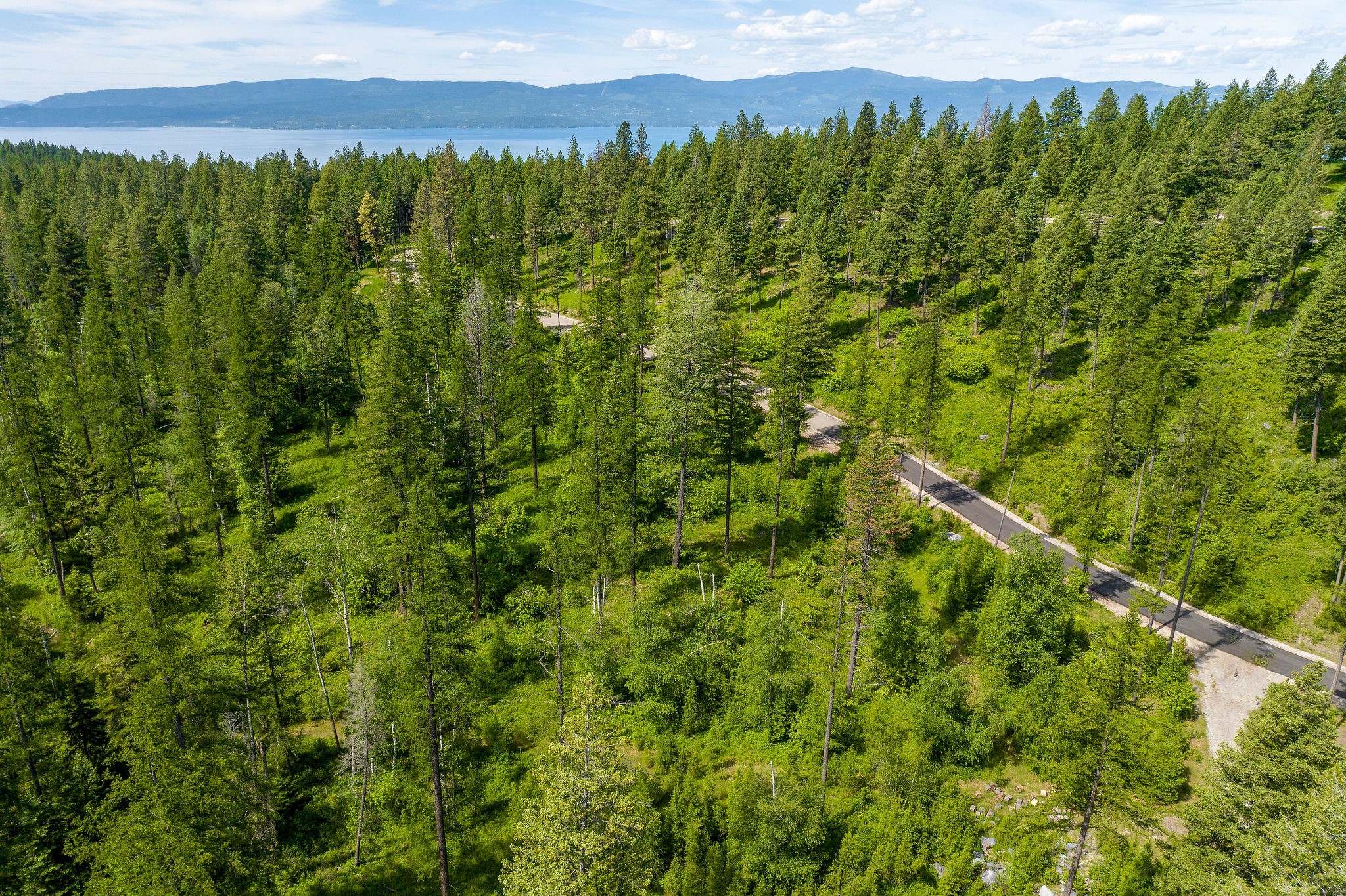 477 Chief Cliff Trail Property Photo 10