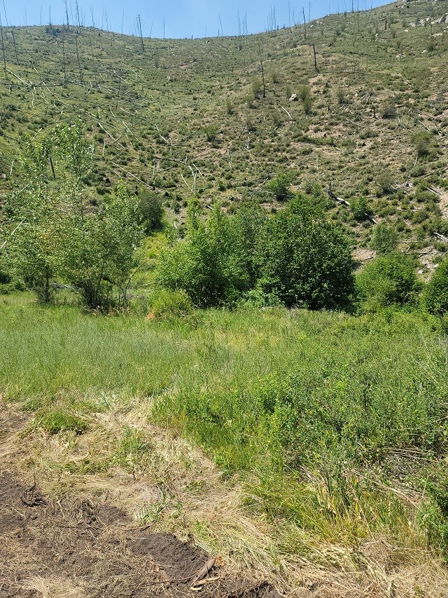 5855 Serenity Lane Property Photo 10
