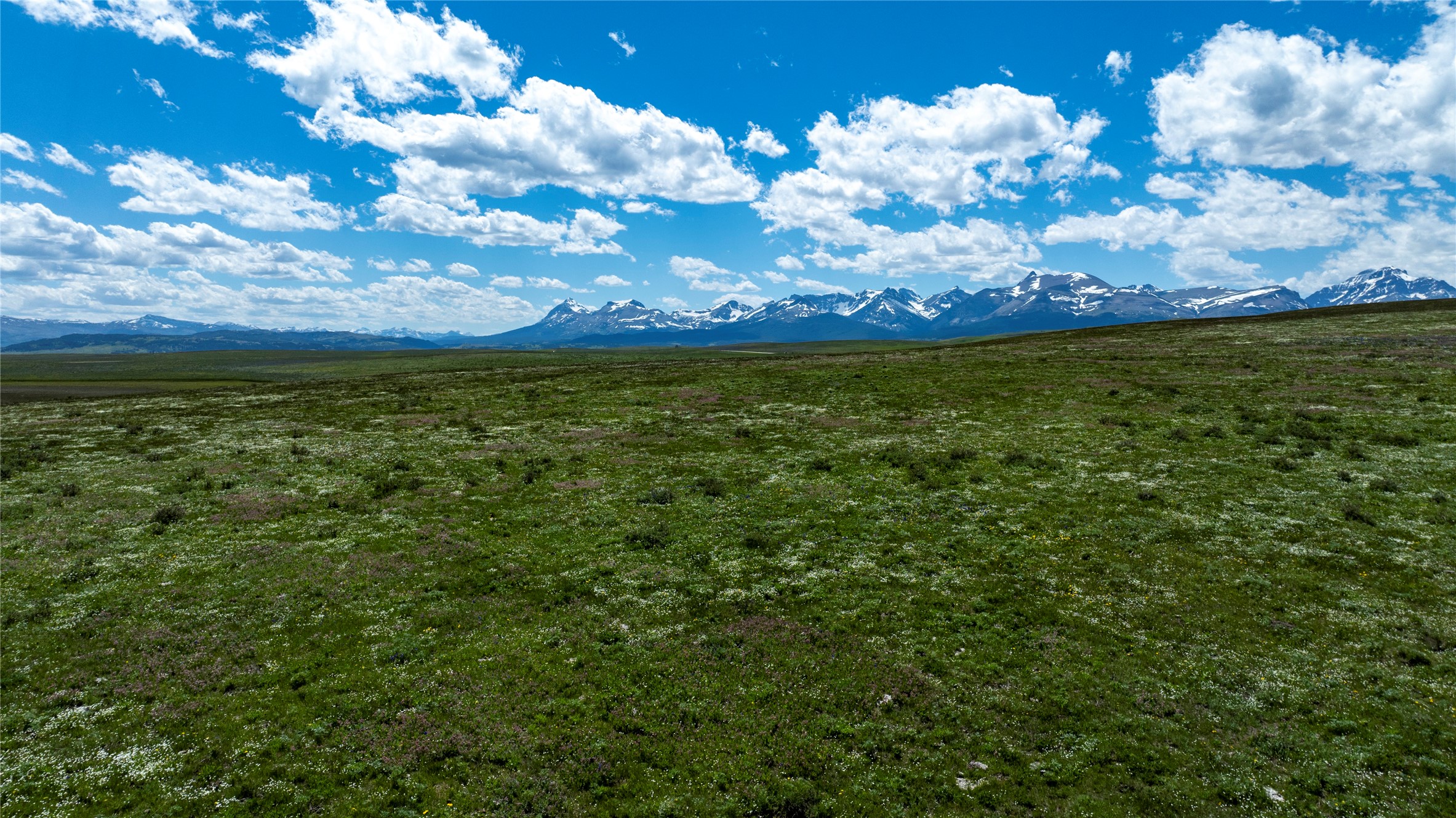 Nhn 160 Acres Vacant Land Property Photo 6