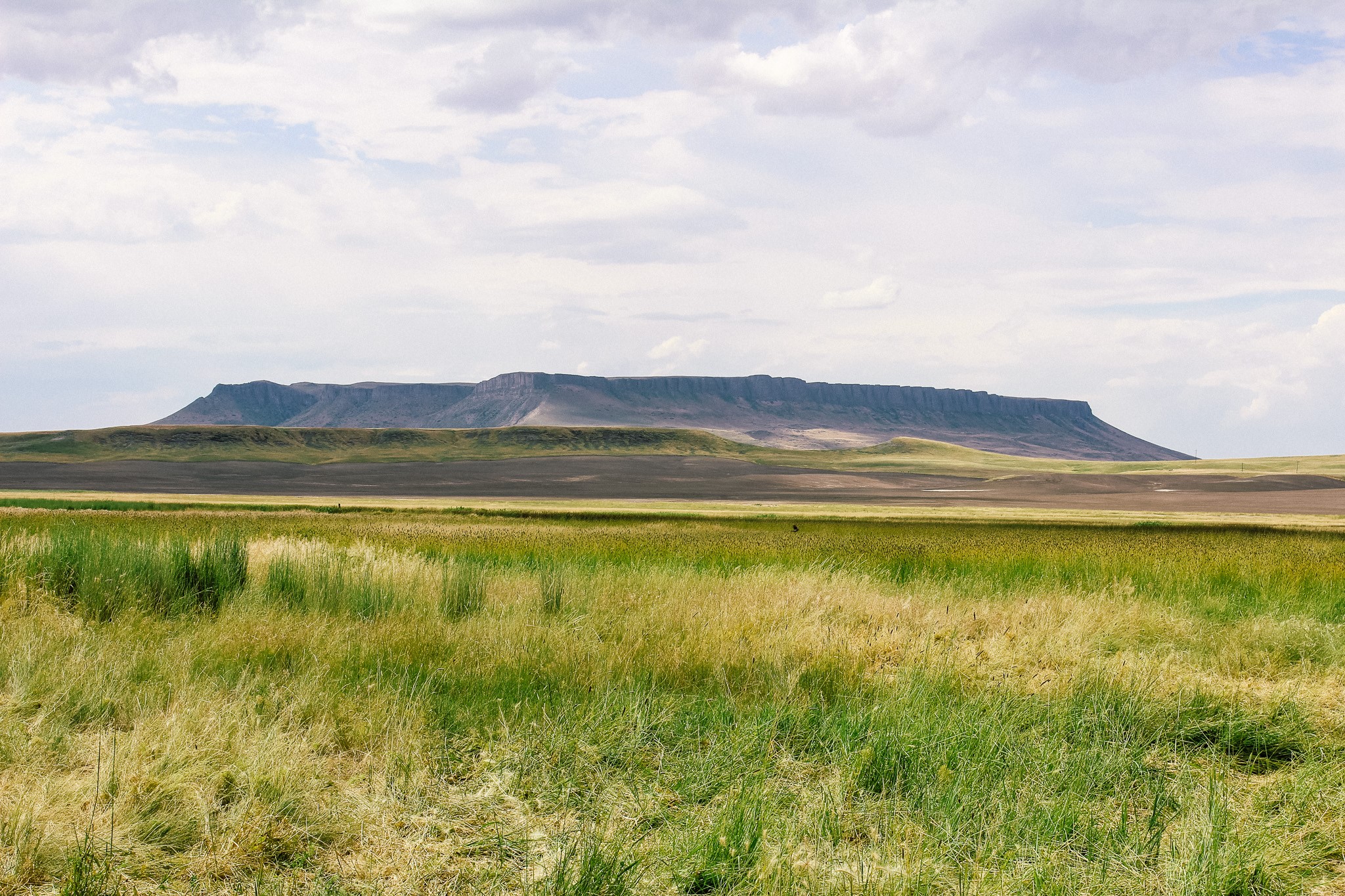 Little Muddy Creek Ranch Property Photo 3