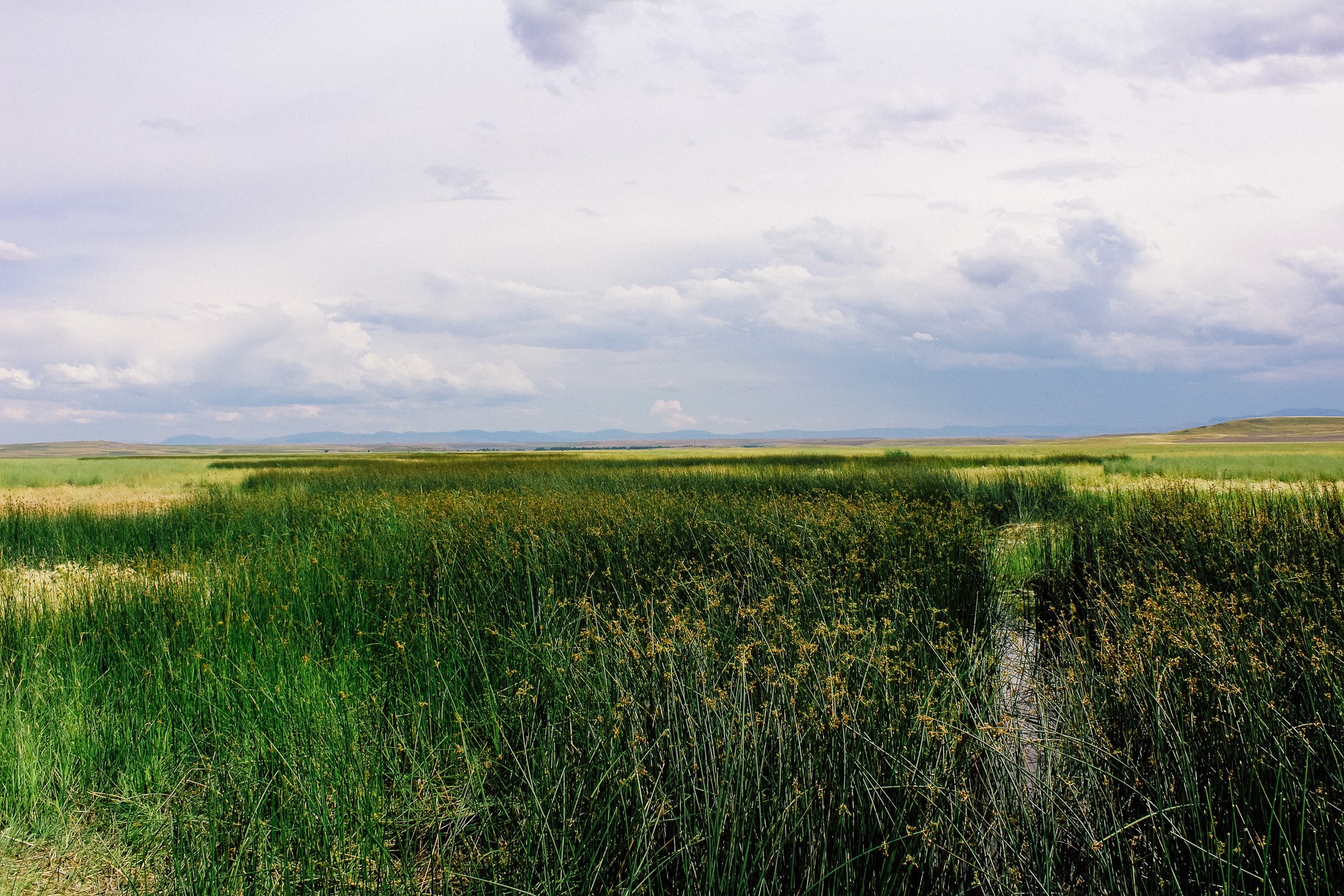 Little Muddy Creek Ranch Property Photo 6