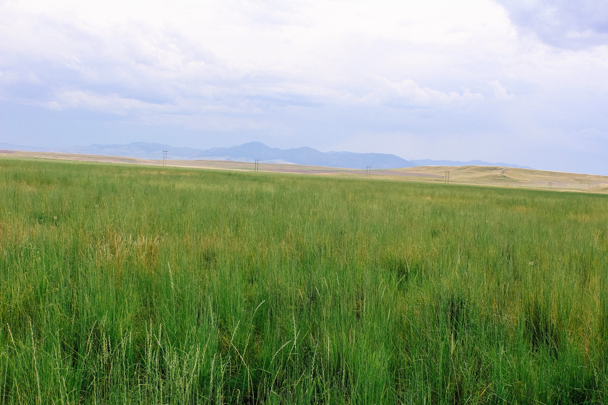 Little Muddy Creek Ranch Property Photo 7