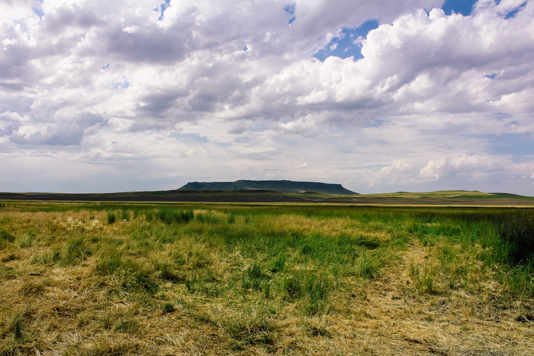 Little Muddy Creek Ranch Property Photo 9