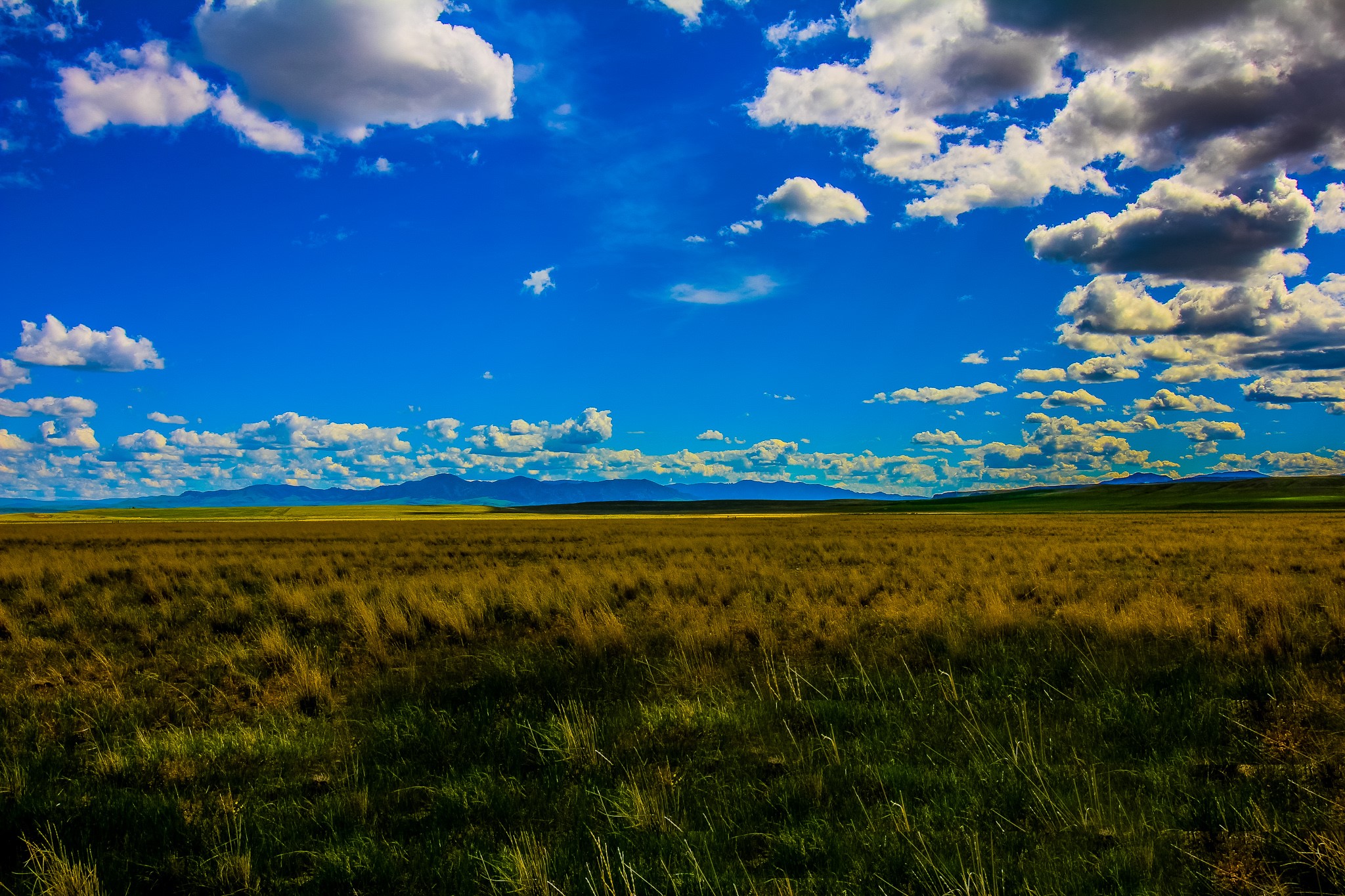 Little Muddy Creek Ranch Property Photo 10