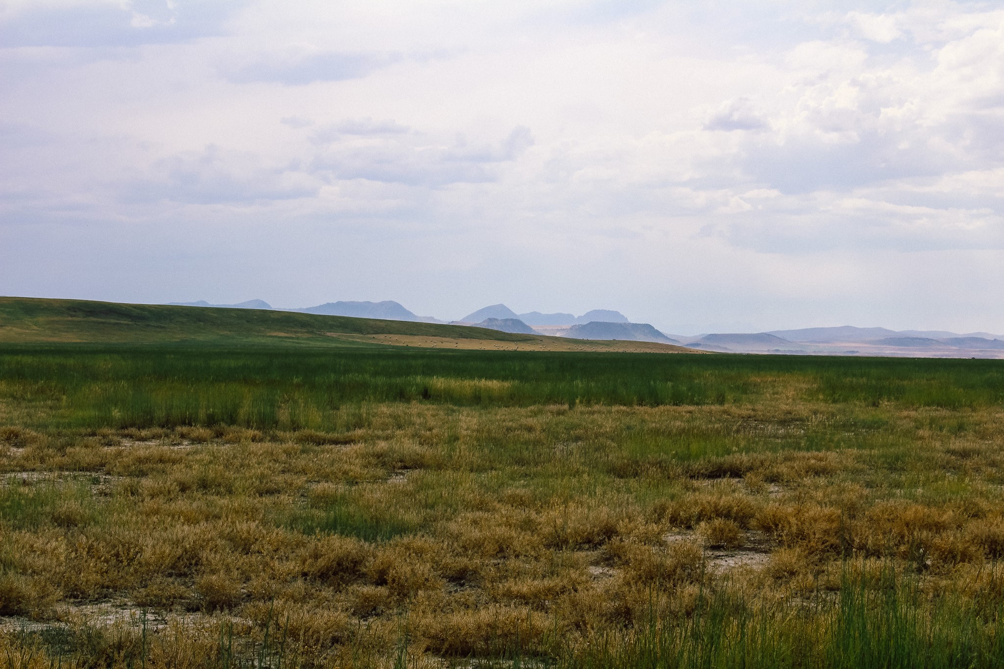 Little Muddy Creek Ranch Property Photo 11