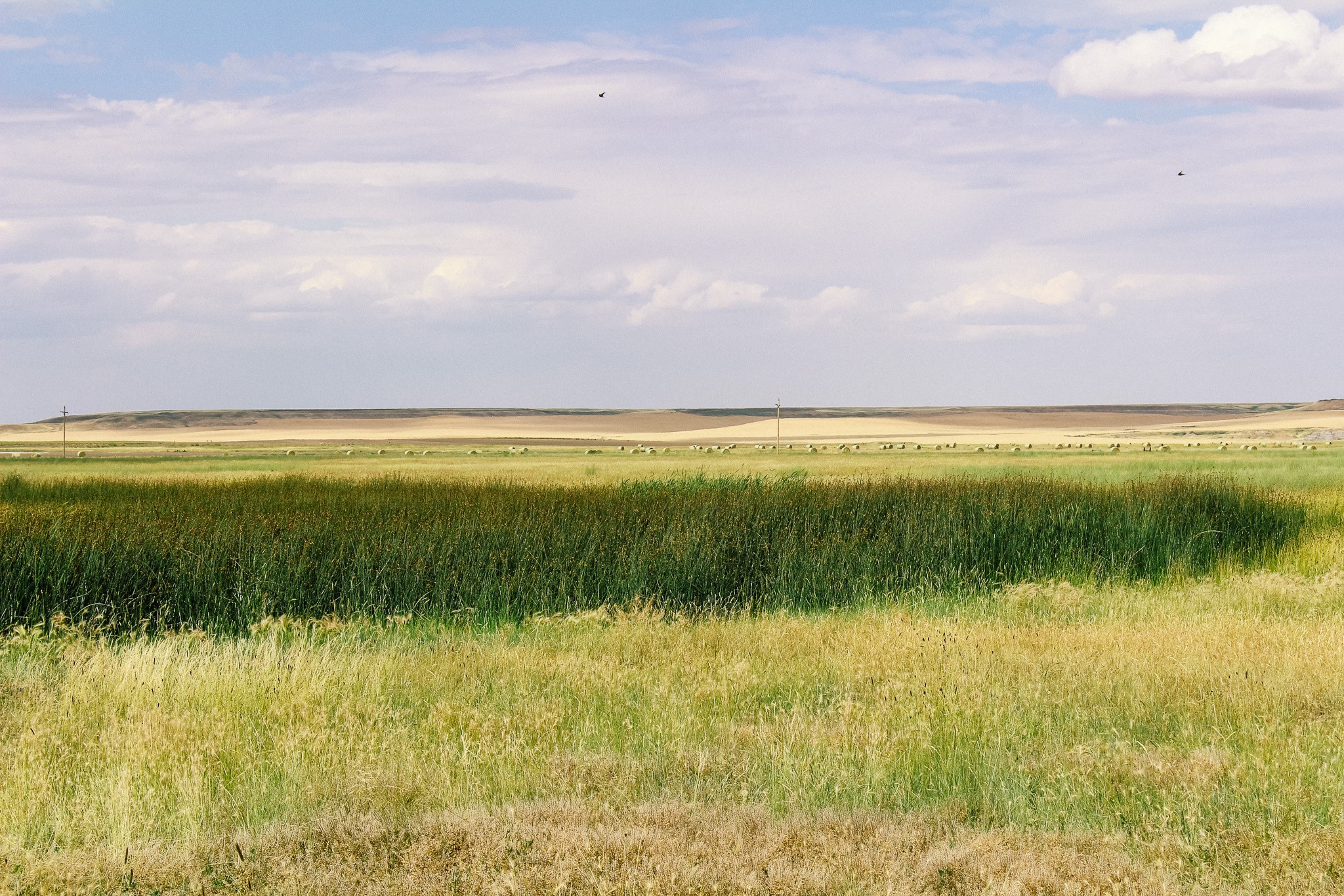 Little Muddy Creek Ranch Property Photo 13