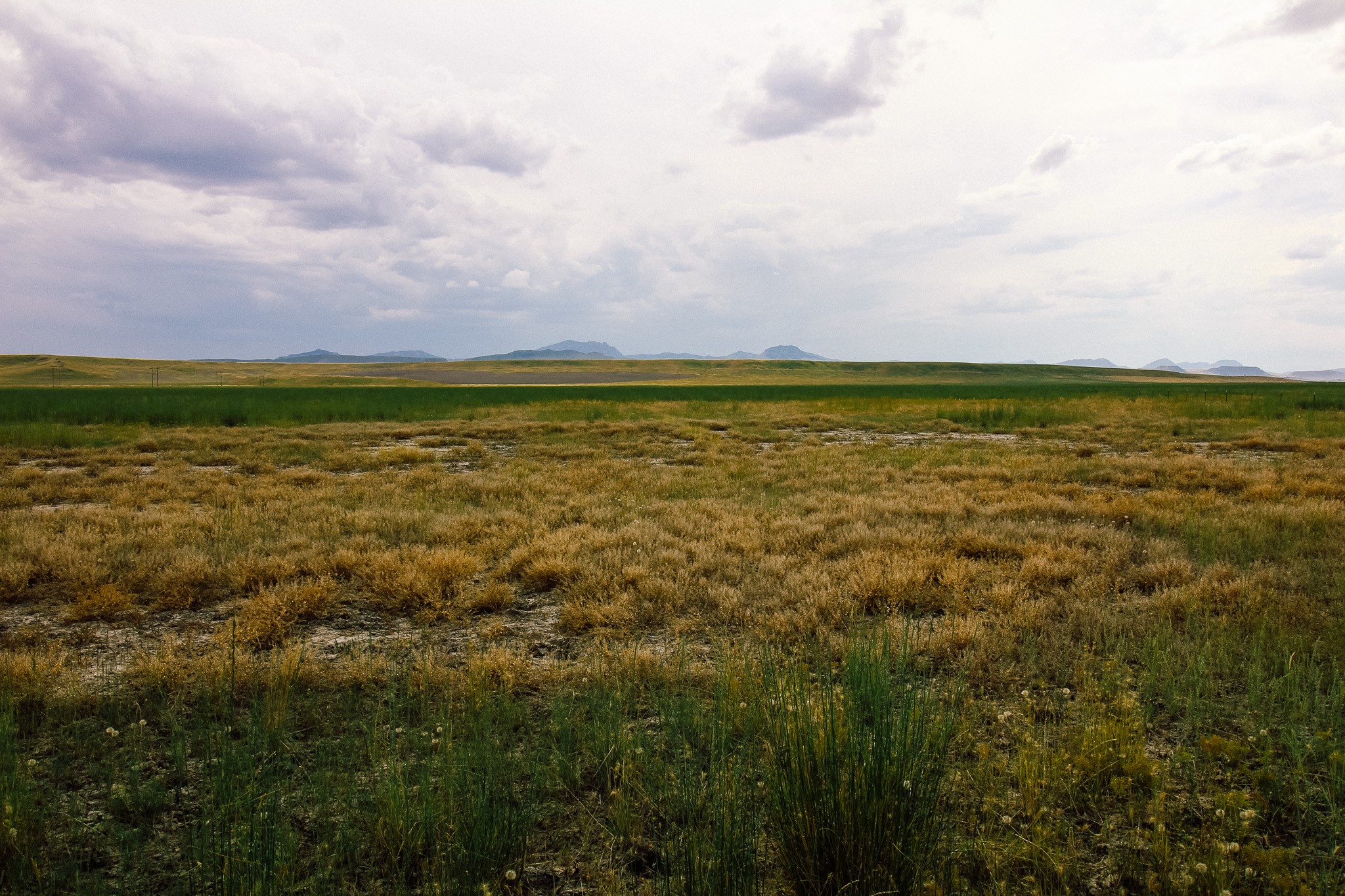 Little Muddy Creek Ranch Property Photo 16