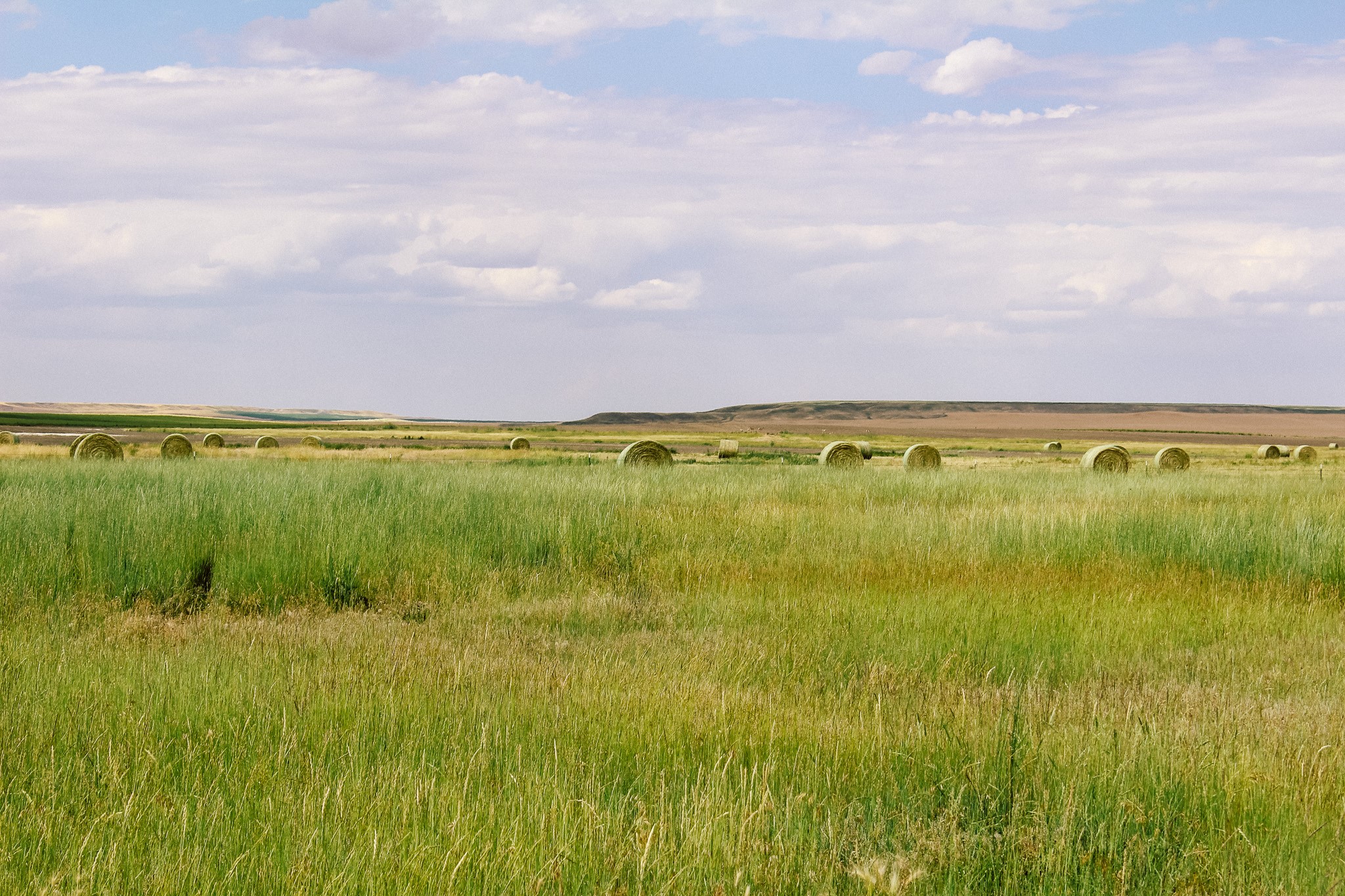 Little Muddy Creek Ranch Property Photo 17
