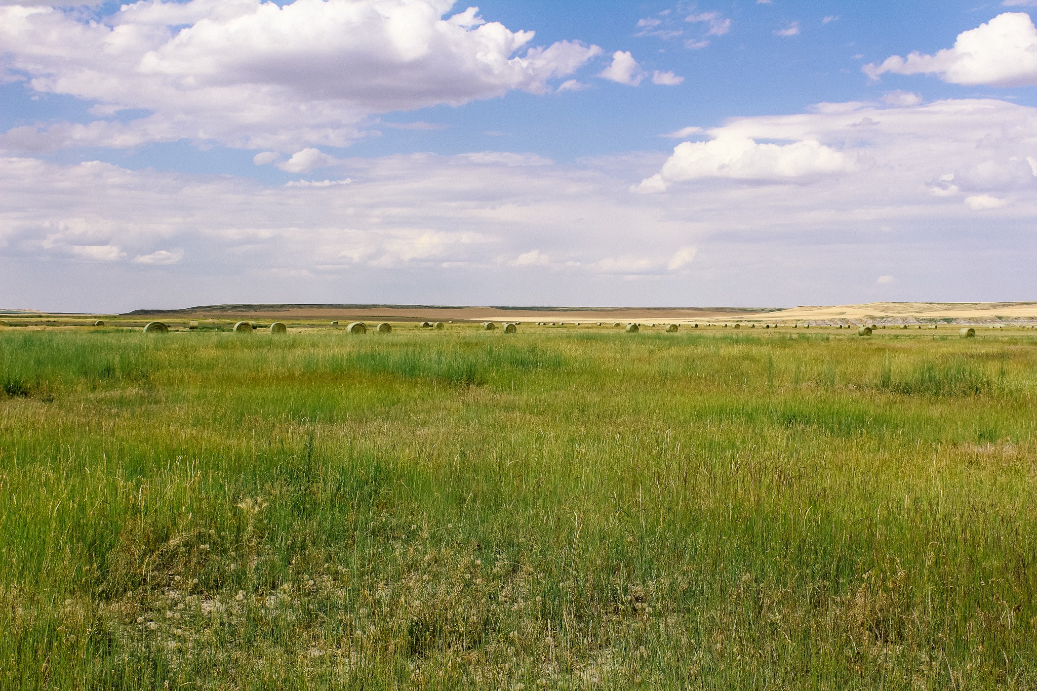 Little Muddy Creek Ranch Property Photo 19
